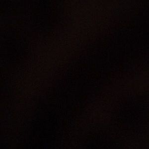 Meet your Posher, Rayven